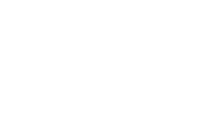 Città di Palermo